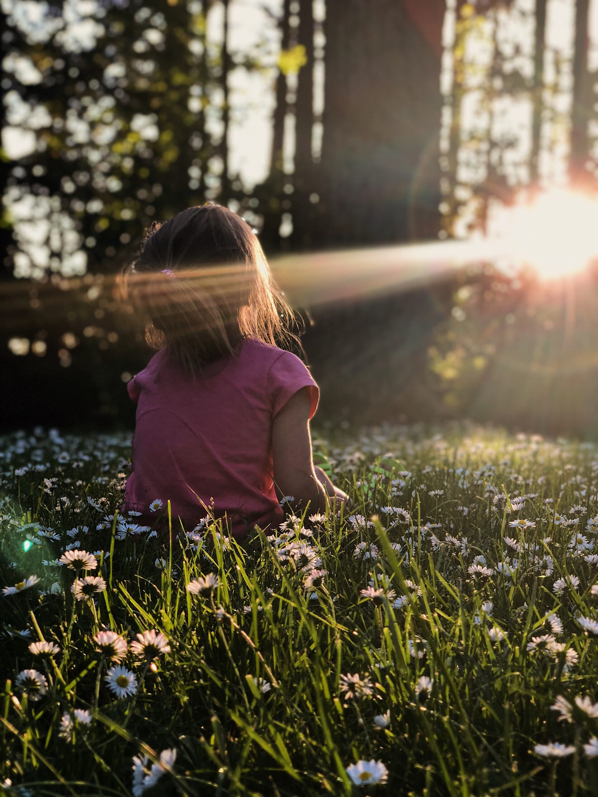 Vitamine D, un essentiel à ne pas négliger